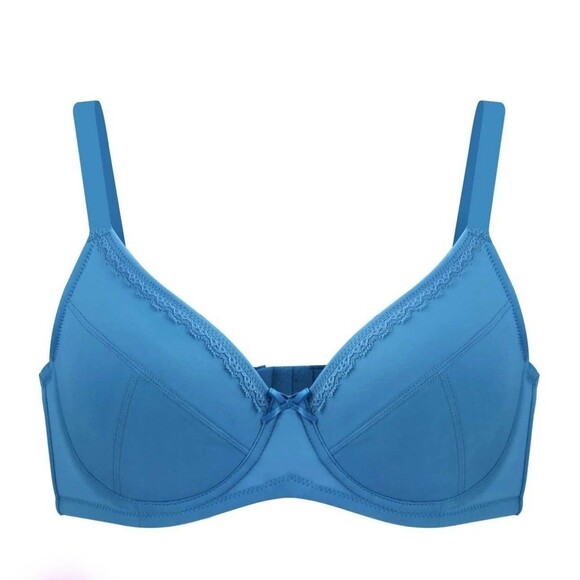 HSIA Lightly Padded Underwire Bra 36DDD Blue Soft Supportive Cups NEW - Picture 3 of 10